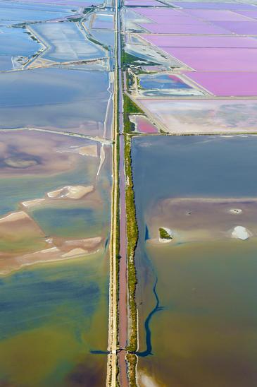 Camargue, France. © Etienne Pierart